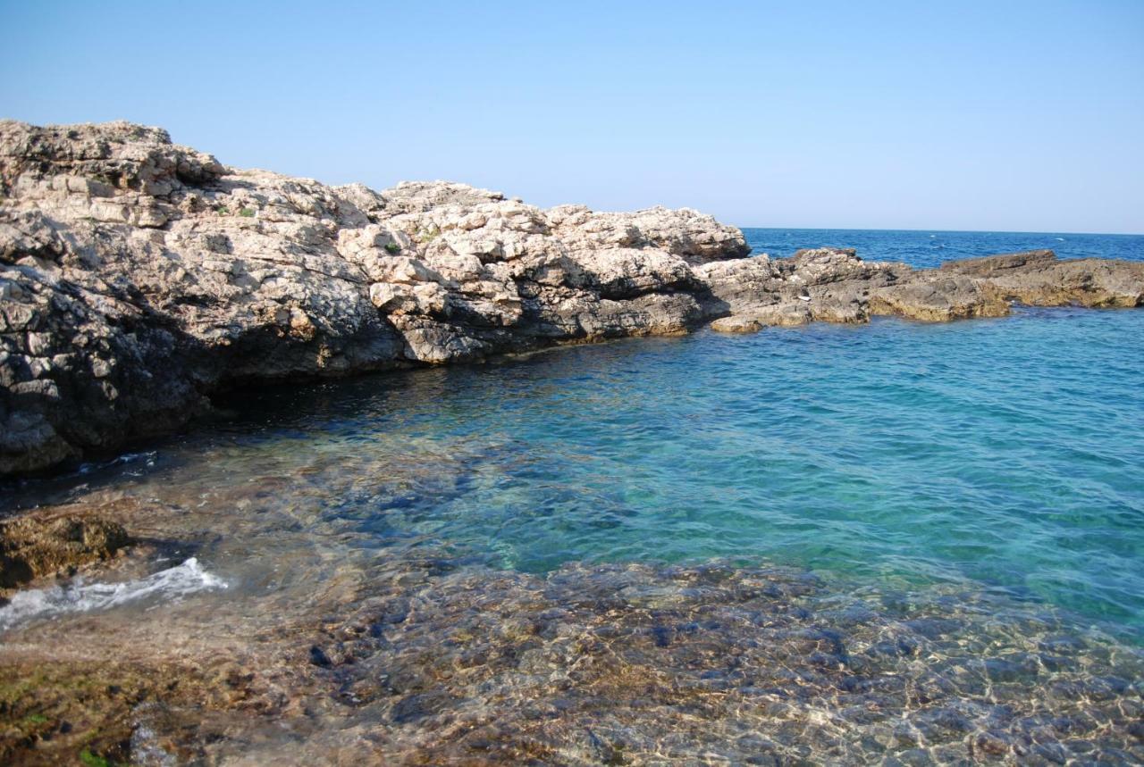 Villa Eagle'S Nest Polignano a Mare Exterior foto